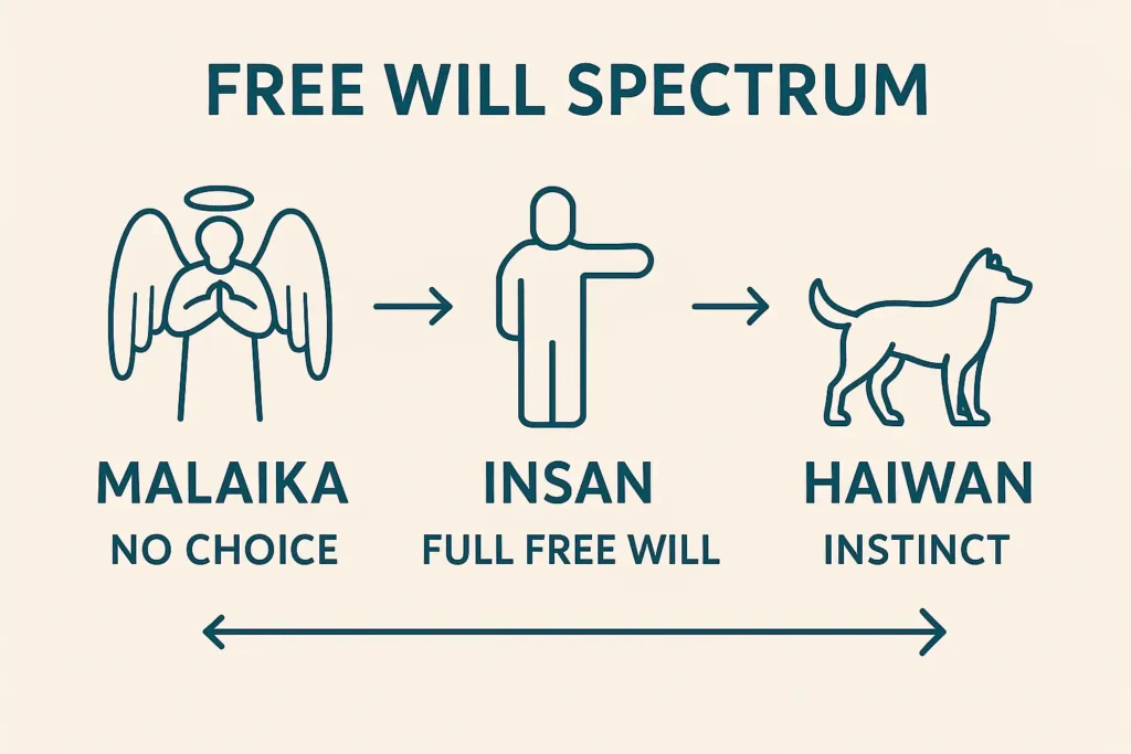 Allah ki Perfection – Kya Allah Ko Perfect Creator Kehna Logical Hai? Allah ki Perfection – Kya Allah Ko Perfect Creator Kehna Logical Hai?